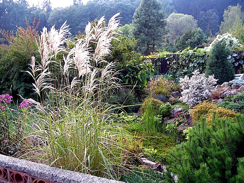 Arboretum Borotín