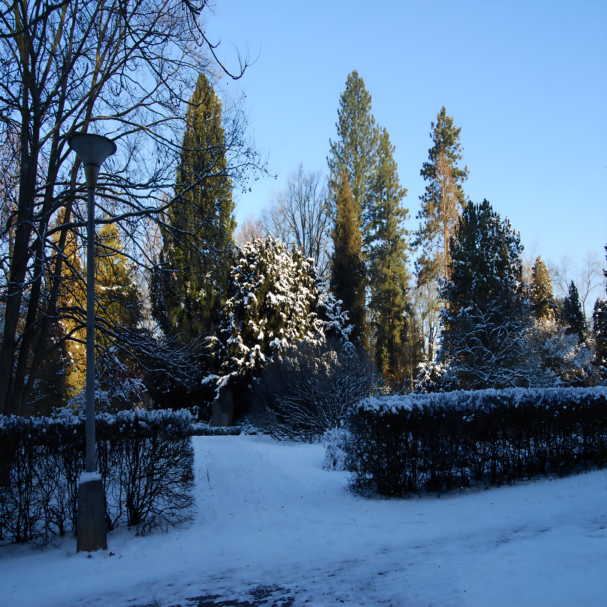 
<span>Arboretum (Václavské Předměstí)</span>
