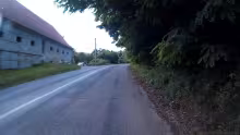 Diváky