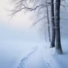Bělečský mlýn – winter
