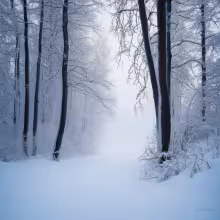 Bývalý špitál – winter