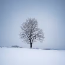 Babiny II – winter
