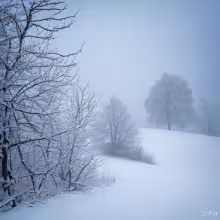 Bratranců Veverkových 702 – winter