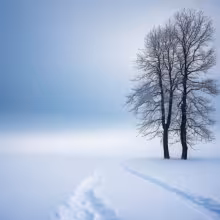 Budova býv. II. české státní reálky, dnes gymnázium – winter