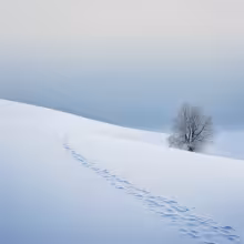 Cihelná (Malá Strana) – winter