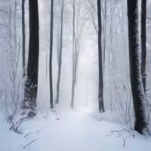 Dívčí penzionát sester svatého Karla Boromejského se školou pro učitelky ručních prací Maria Hilf – winter