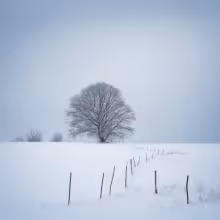 Domy čp. 60 a 61 – winter
