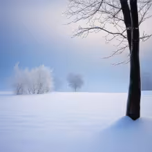 Dva Herkulové – winter