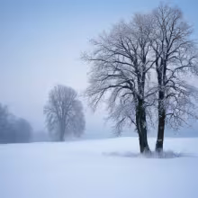 Dvanáctiletý Ježíš v chrámu mezi učenci - 3. kaplička libkovických Sedmi bolestí Panny Marie ve Vtelně – winter