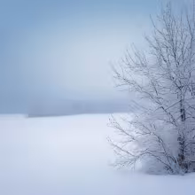 Gutštejn – winter