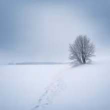Hroznová (České Budějovice 1) – winter