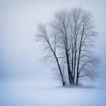 kaple svaté Máří Magdaleny (Holešovice) – winter