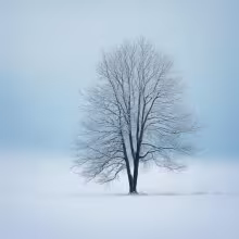 kostel Nanebevzetí Panny Marie (Bublava) – winter