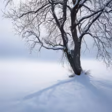 Kostel Neposkvrněného početí Panny Marie (Habartice) – winter
