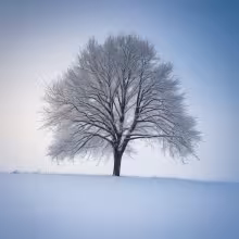 Kostel svaté Markéty (Strakonice I) – winter