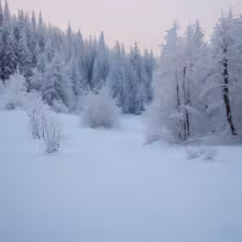 kostel svatého Jakuba Většího (Naloučany) – winter