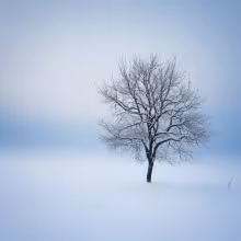 Kostel svatého Josefa (Praha) – winter