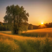 Kostel svatého Matouše (Hať) – summer