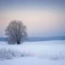 kostel svatého Václava (Světlá nad Sázavou) – winter