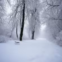 Opatovická – winter