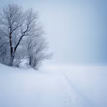 Tyršův sad – winter