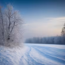 Vikářská – winter