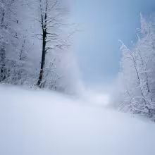 Vysoká škola Karla Engliše – winter