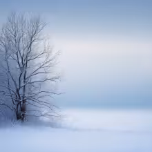 Zámek Těchobuz – winter