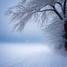 Zámek Volanice – winter