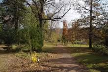 Arboretum Žampach