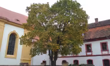 Rabštejn nad Střelou