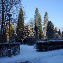 Arboretum