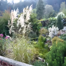 Arboretum Borotín