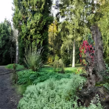 Arboretum Střední lesnické školy v Hranicích
