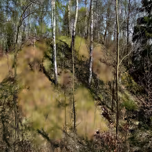 Hausberk (Křimov)