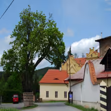 Klášterní mlýn v Plasích