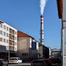 Roháče z Dubé