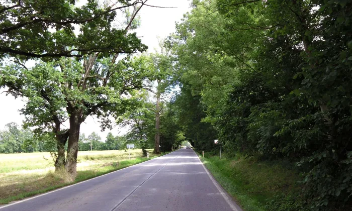 Bzí