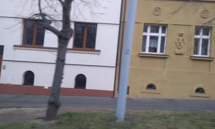 Mánesova (Jižní Předměstí)