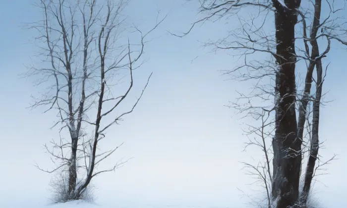 Žádlovice – winter