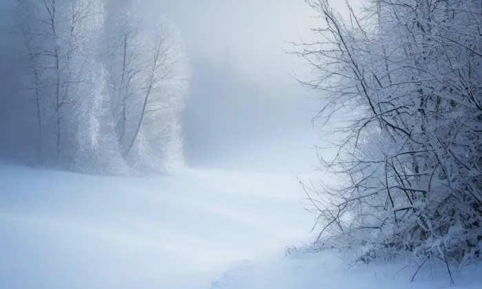 Šestajovická – winter