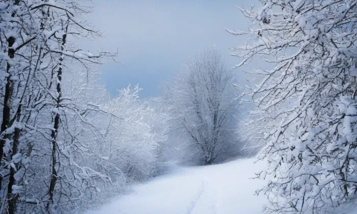 Šontál – winter