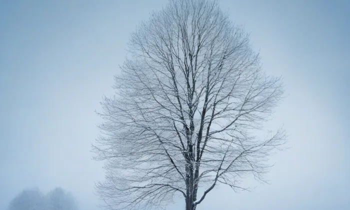Štětkovice – winter