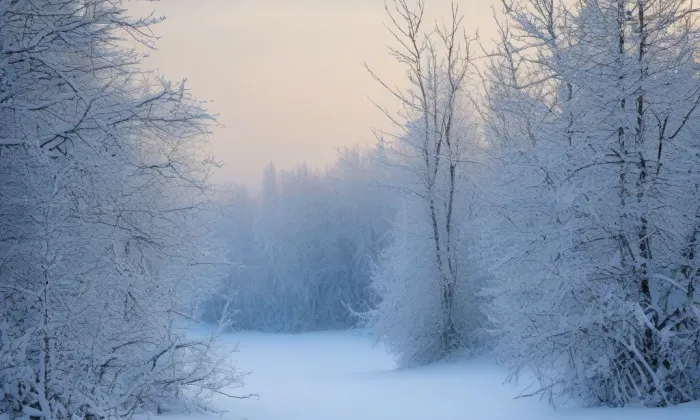 Angerbach – winter