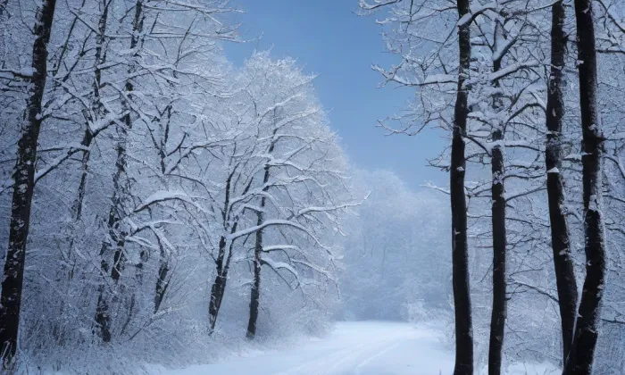 Archeopark pravěku Všestary – winter