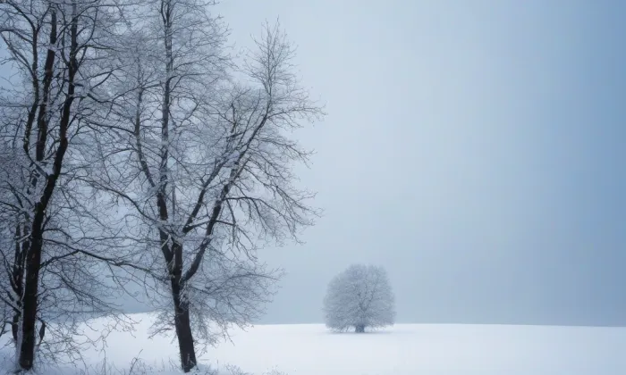 Archiv Ministerstva zahraničních věcí České republiky – winter