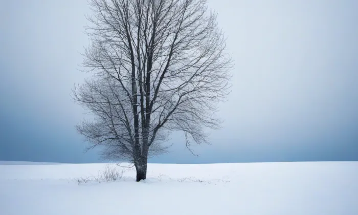 Bednářova vila – winter
