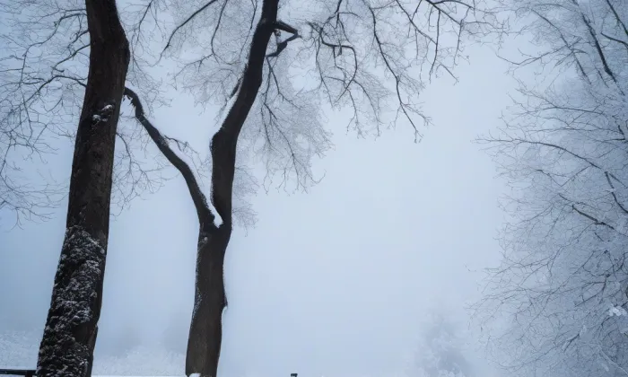 Belver – winter