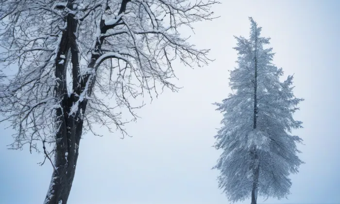 Bezděz – winter