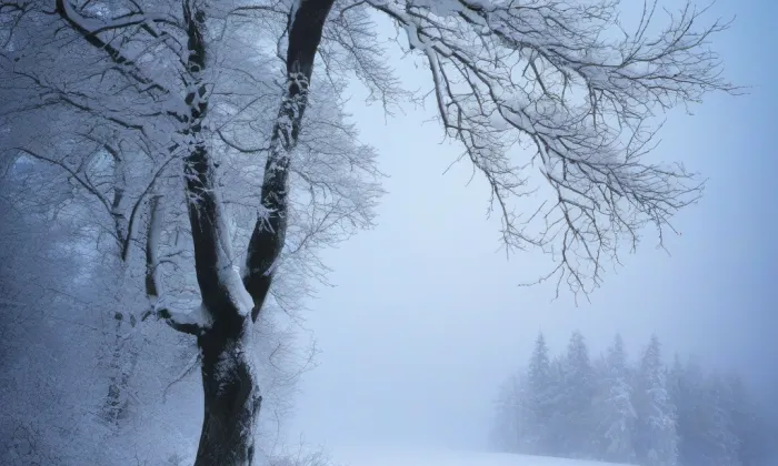 Blahoslavova 16 – winter